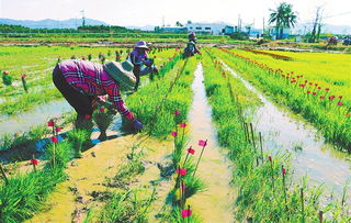 人民网海南频道 网上的人民日报