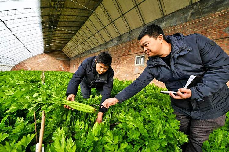 科研育种助力春耕备耕