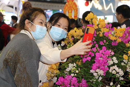 昌江组团参加2020年冬交会 64种特色农产品备受青睐 图