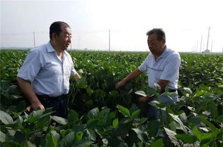 张孟臣 我是 大豆代言人
