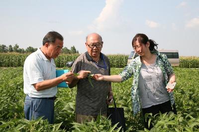 工程院院士盖钧镒到垦丰种业咨询指导-垦丰种业-东北网黑龙江