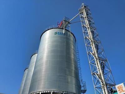 “油用牡丹”成就合阳富民大产业--第四届“让世界倾听陕西声音”主题采访团走进合阳县坊镇中资国业牡丹产业工厂