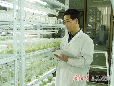 「陇上农学杰出人物系列报道之十九」学科建设和植物生物技术应用的建设者--记甘肃农业大学教授、博士生导师张金文