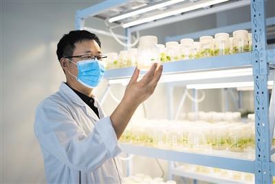 农产品成俏货 科研转化更有动力