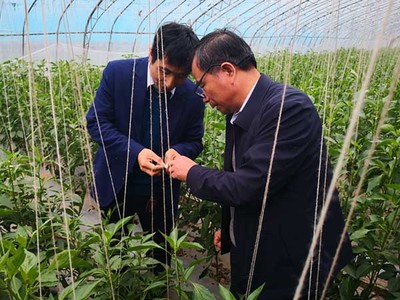 农林科技学院专家赴庆阳市西峰区开展“学史力行,科技支农”活动