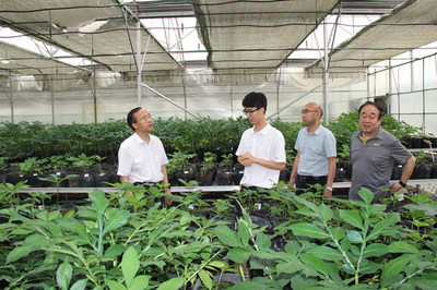 鲁琦到汉滨区和恒口示范区调研魔芋产业