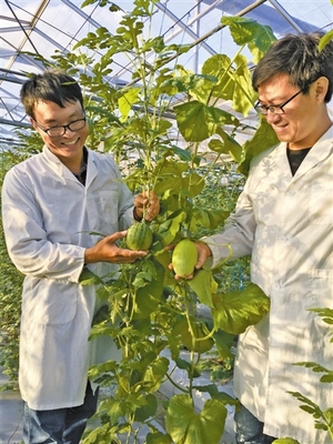 东南商报数字报刊平台