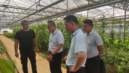广西农科院 花卉研究所