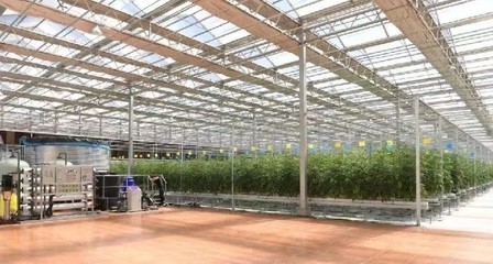 拉萨科研玻璃智能大棚2023报价