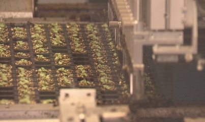 花博文化园中,这位区长许下了一个“花的承诺”