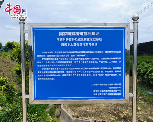 国家南繁科研育种基地又一项目落地 琼粤合作打造沉香产业技术协同创新中心