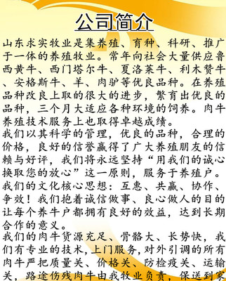 近期黄牛价格大型养殖场牛犊活体价格 动物种苗