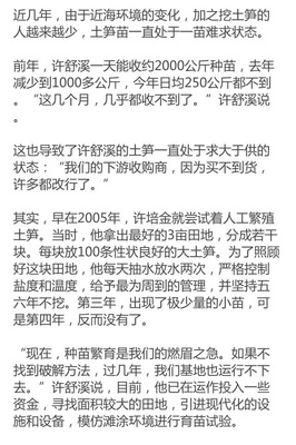 霞浦土笋养殖父子呼唤水产专家 打破土笋繁育瓶颈