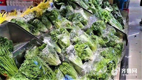 德州推广蔬菜 食用菌 网格化服务 100家园区 基地 力争绿色生产