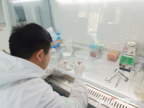 成功转让 总金额495万元