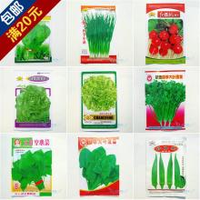  吉林仲伯蔬菜种苗研究所 主营 露地温室蔬菜种子 观