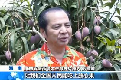 世界首例芒果太空育种细胞成活 曾随神舟十一号飞船上太空