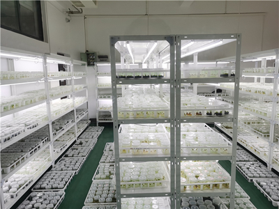 贵师大“十年高质量发展”系列报道之乡村振兴篇:助力脱贫攻坚战役 担当乡村振兴使命