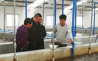 东辛水产育苗利润创造新纪录