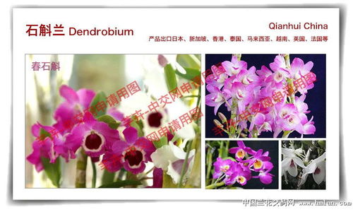 昆明芊卉卖家资格申请