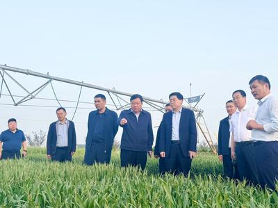 河南种业集团