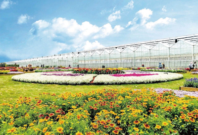 共赴花之约,余香遍崇明,2023崇明花朝节3月23日启幕