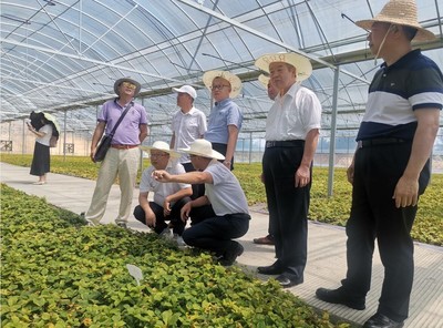 我院又一校企产学研合作项目通过验收,实现成果转化应用