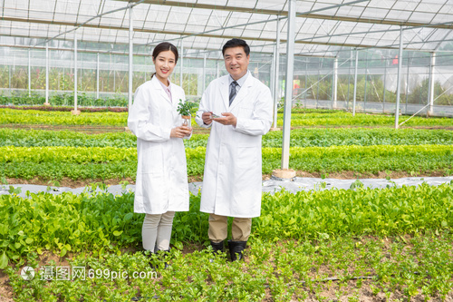 手捧植物的农业科研人员