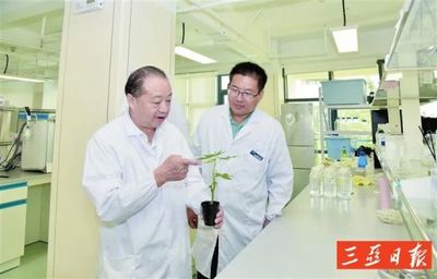 “热科南繁”已完成200个作物水稻品种“图鉴”
