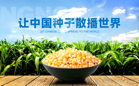 康农种业品牌介绍-康农种子