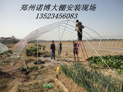 供求推荐