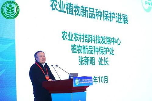 推进种业振兴 这个信息发布会上传递出了这些重磅内容