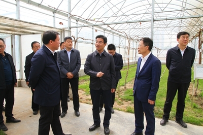 涿州教学实验场 新闻资讯 保定市委副书记王伟到我校涿州教学实验场现场办公 推进农高区创建工作