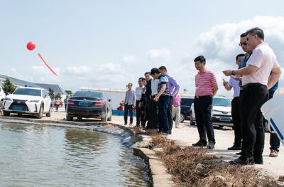 重投5000万元!这家苗企再发力打造国家级水产良种场,重点选育海鲈、黄鳍鲷!
