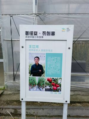 马院教师赴传化集团开展调研交流