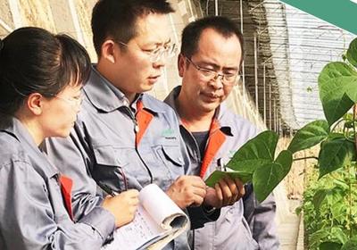 蔬菜种业硅谷 集聚发展新动