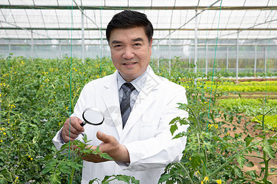 使用放大镜观察植物的农业科学家特写