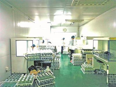 亩均效益最高300万元 看锡山现代农业产业园如何玩转“农业+”