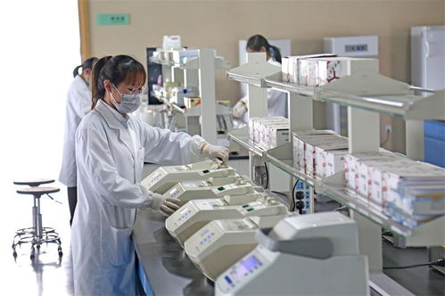 从 经验育种 到 精确育种 科技大大提高育种效率
