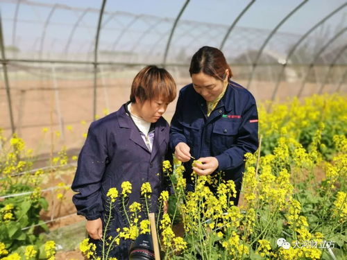 从订单式农业到家庭农场,绿茵种苗将一粒种子做到行业龙头 深读绿公司