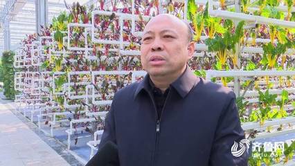 65秒|建设“鲁西种苗谷”开展种源技术攻关!聊城莘县要打造中国种苗第一县