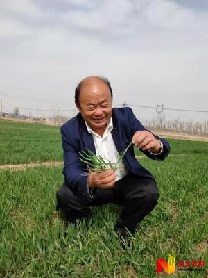 一粒种子半生梦--河北省劳动模范祖茂堂育种故事