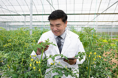 使用放大镜观察植物的农业科学家特写