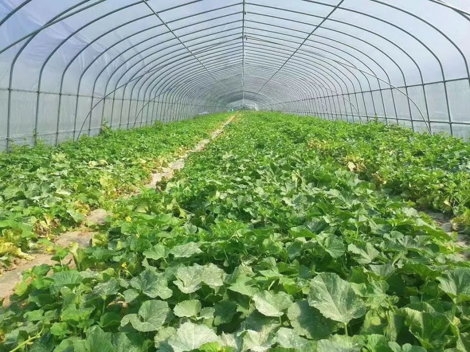 台州市三甲街道大开发!5个项目等着大家来投资