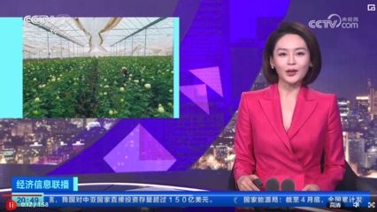 种业"芯片"研发加速 云南花卉品种持续"上新"