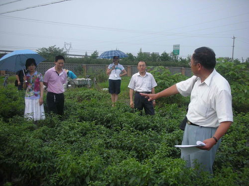 四川省农业科学院 李跃建院长和省农作物育种攻关办检查园艺所等蔬菜科研进展情况