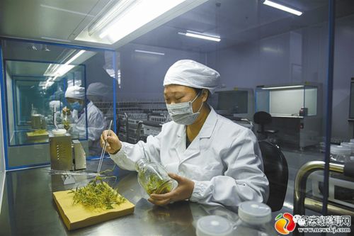 奋进脚步坚实有力 赣州这地扎实推进项目建设