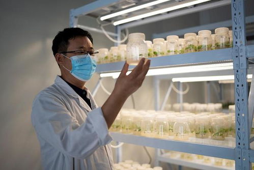 拼多多发布三季度财报 营收355亿元,将继续加大投入推动供给侧升级