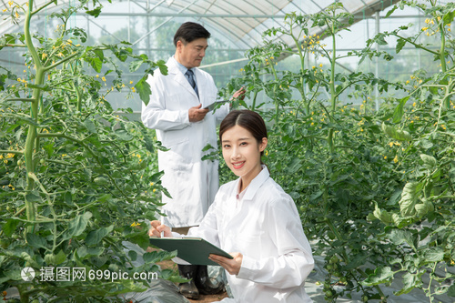 记录植物生长的农业科研人员