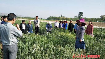 书写科技事业新篇章 写在第三个 全国科技工作者日 到来之际